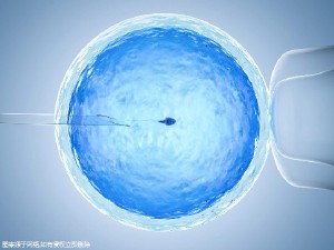 供卵试管选性别代生公司